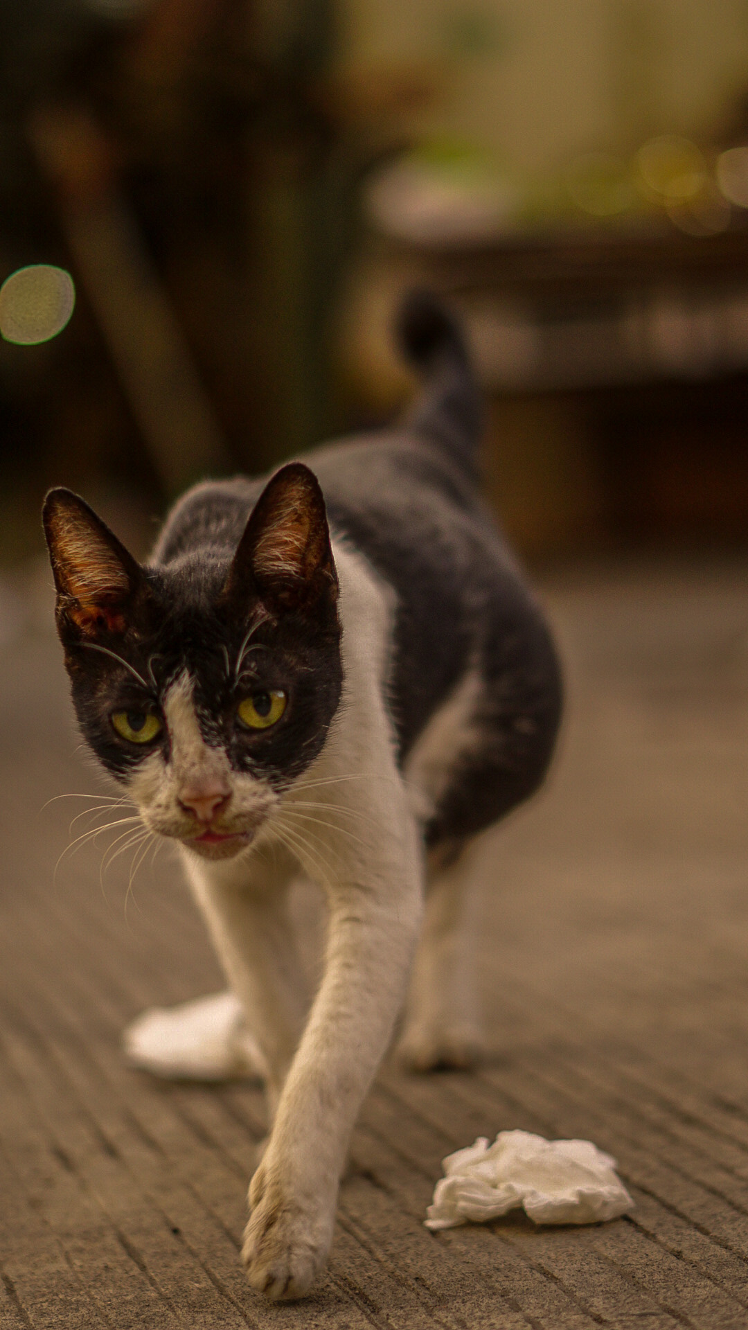 Rizky Awal Ramadhan A. _Free_ @_rizyawal